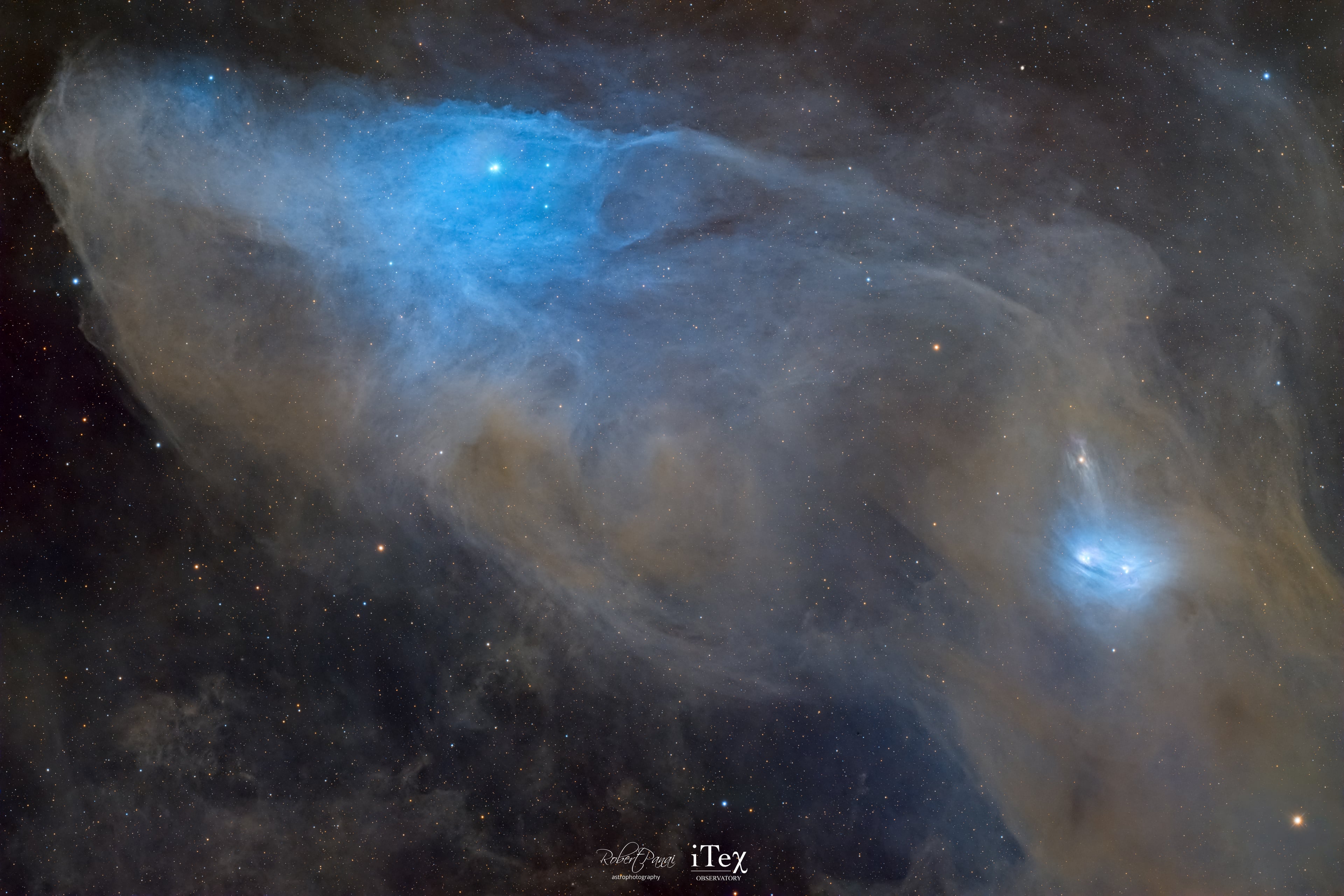The Bloody Blue Horsehead: a deep view
